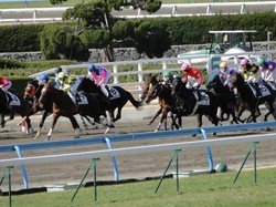 園田競馬