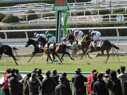 金沢競馬