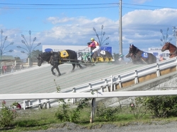 帯広競馬のばんえい競馬