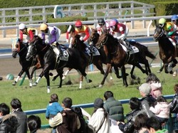 競馬１５連勝