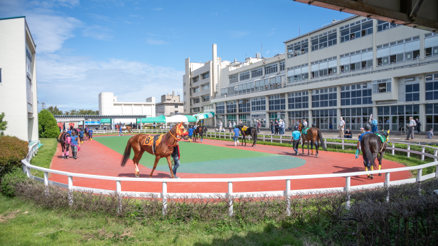 金沢競馬のパドック