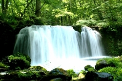 十和田湖の奥入瀬渓流