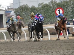 名古屋競馬