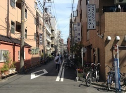 横浜でノミ競馬