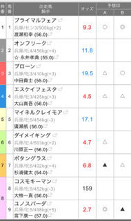 園田競馬で八百長